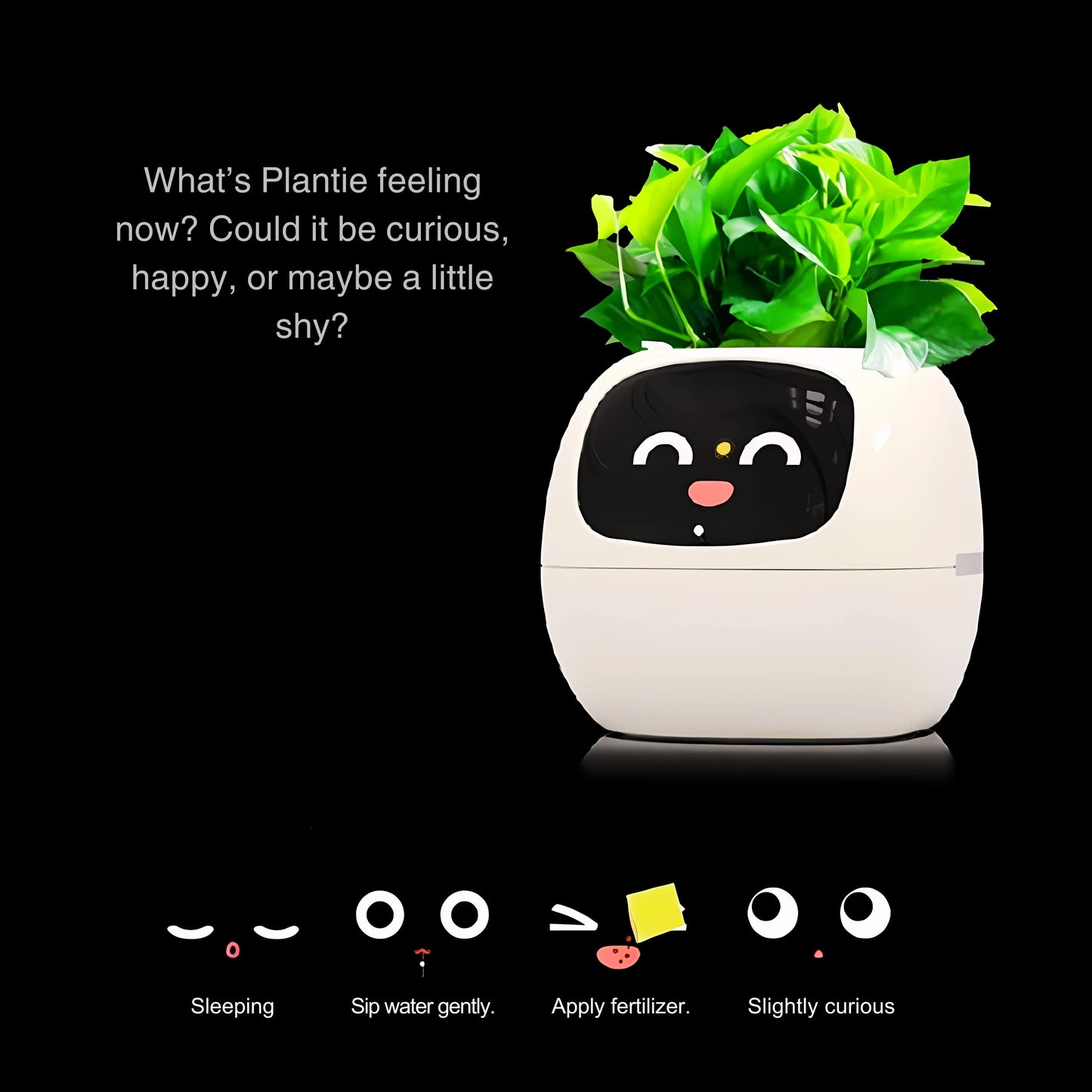 Plantie™ Ecobuddy